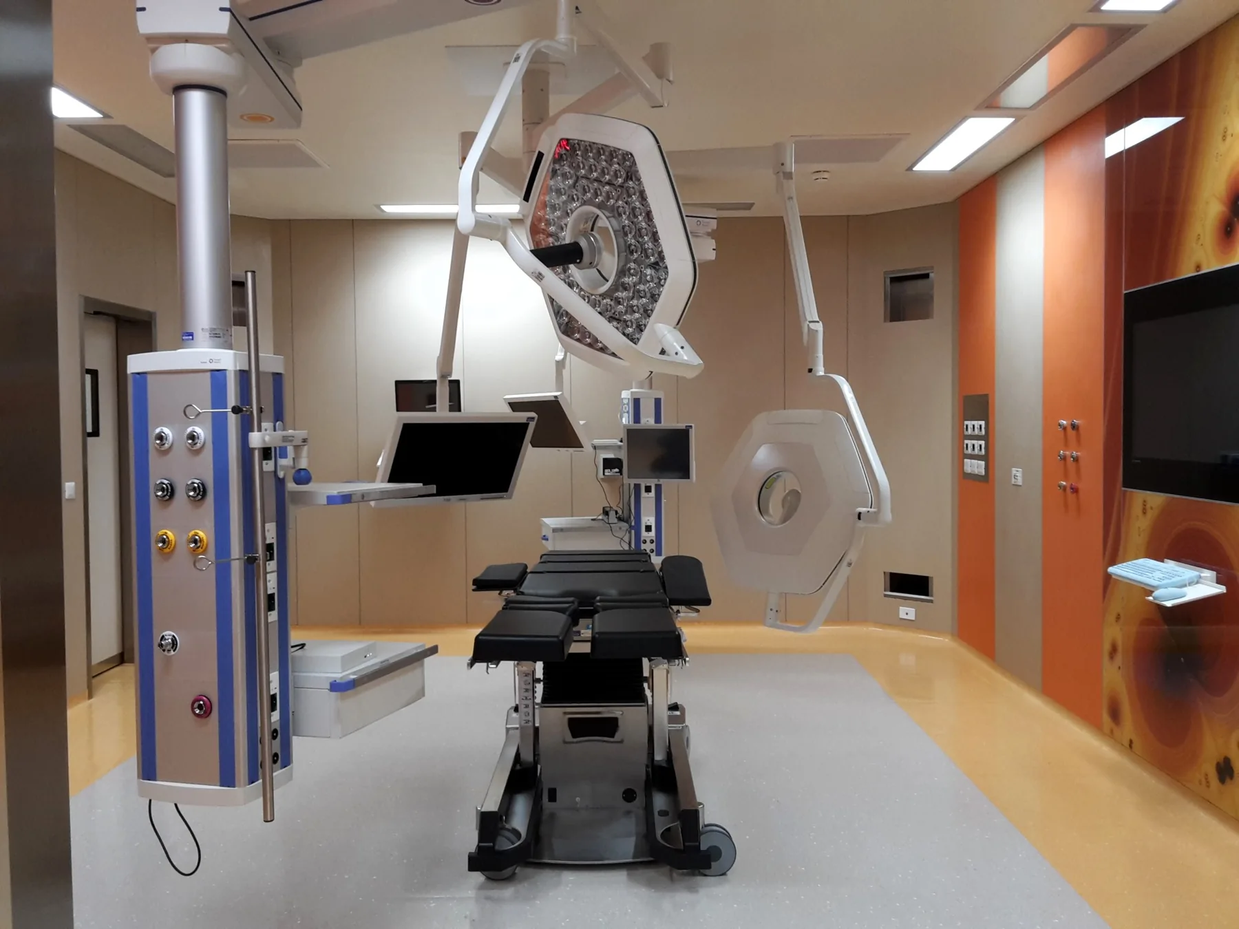 SAN CARLO DI NANCY HOSPITAL: Departments involved